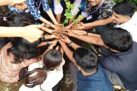 Tree plantation Drive by NSS